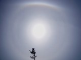 9-degree Halo (Column Arcs?), 18, 20-degree Halos, Upper Tangent Arc (Parry Arc?), and 22-degree Halo