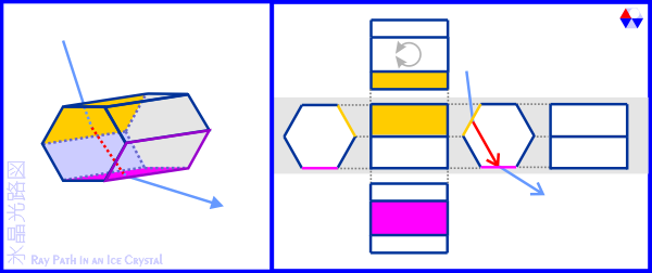 XH}: p[A[N̕X̎pƌ̌oH