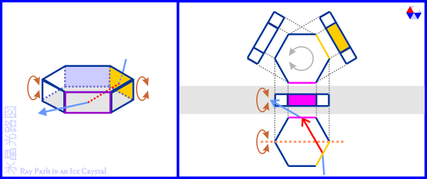 XH}: [EBbcA[N̕X̎pƌ̌oHB