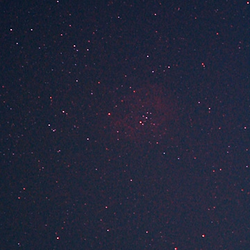 Rossete Nebula