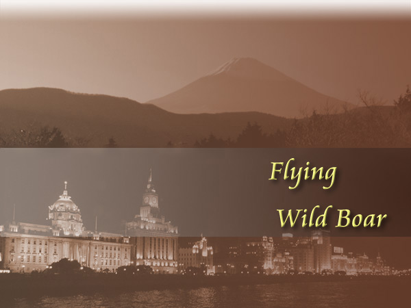 Welcome to the Flying Wild Boar's Website