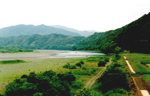 �l���\��̗���Q