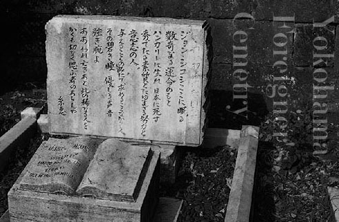 banner.jpg (54647 バイト)