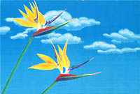 �X�g�����`�A