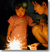 �s�v�c�ȉԉ�