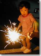 �����̉ԉ�