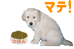 �܂�!!