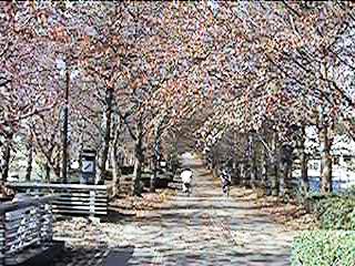 road