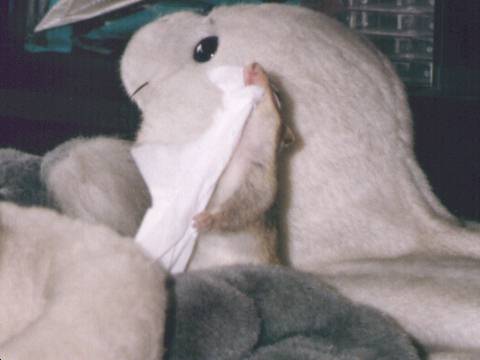 photo402