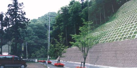 [���̓쑤�̐X]