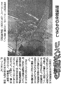 [�V���ؔ����A�u���X�̋��v�ʐ^�t��]
