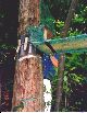 [���X�̋������ɌŒ肳��Ă���Ƃ���]