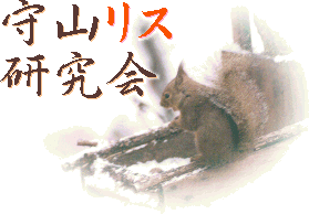 ��R���X������