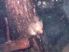[�T���l�C��002]