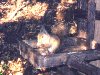 [�T���l�C��015]