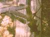 [�T���l�C��016]