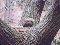 [�ʐ^02-�T���l�C��]
