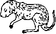 ����18���̎e���X�̊G