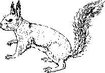 �G�]���X�̊G