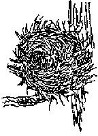 �}2(a)�F���̊O��