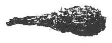 �}4: �}�c�{�b�N���̐H���i�ʏ̃G�r�t���C�j�̎ʐ^