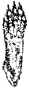 �}11-a2: �j�z�����X�̍��㑫�̊O�ϐ}