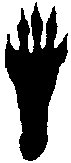 �}11-a4: �j�z�����X�̉E�㑫�̑���