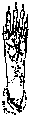 �}11-b2: �V�}���X�̍��㑫�̊O�ϐ}
