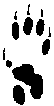 �}11-b4: �V�}���X�̉E�㑫�̑���
