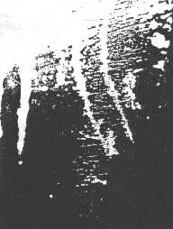 �}12-b: ���a��̒܍�-2