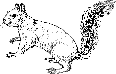 �^�C�������X�̊G