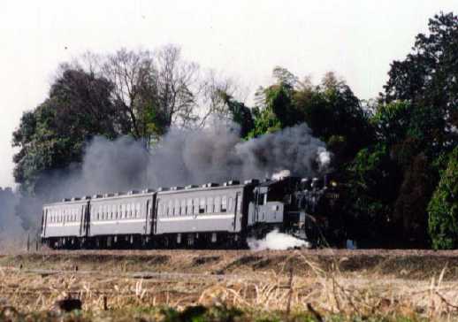c1202.jpg