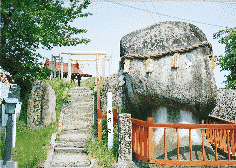 �v�w��