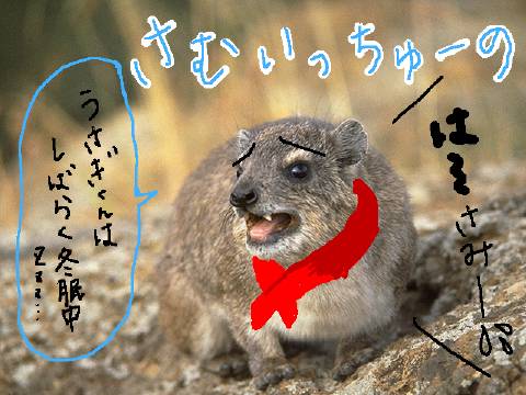 ���ނ�������[��