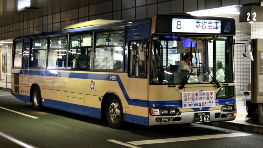 ����n���I��(2007�N)