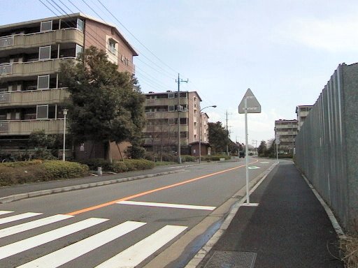 �I�_���ӂ̌��i