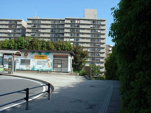 �x�e��