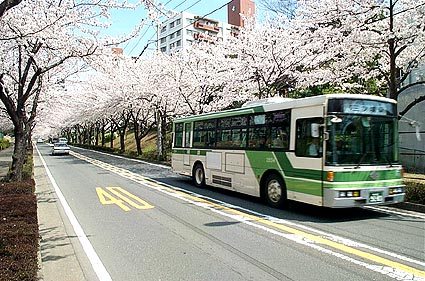 2854(��)