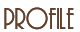 �v���t�B�[��