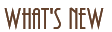 �X�V����