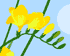 �t���[�W�A