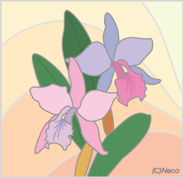 �J�g���A