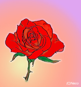 �o��