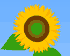 �Ђ܂��