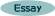 essay
