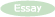 essay