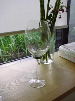 �}�C�O���X