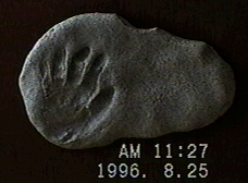 hand print storn
