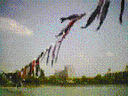 ��o��̐���H