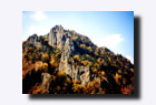�H�̒�R�k�E�L�������